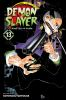 Demon Slayer: Kimetsu no Yaiba—One-Winged Butterfly, Book by Aya Yajima,  Koyoharu Gotouge, Jocelyne Allen, Official Publisher Page