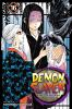 Demon Slayer - Kimetsu no Yaiba - Illustration Records Vol.2